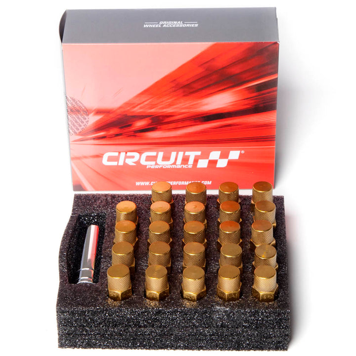 M12x1.25 Forged Steel CP50 Extended Closed End Hex Lug Nuts