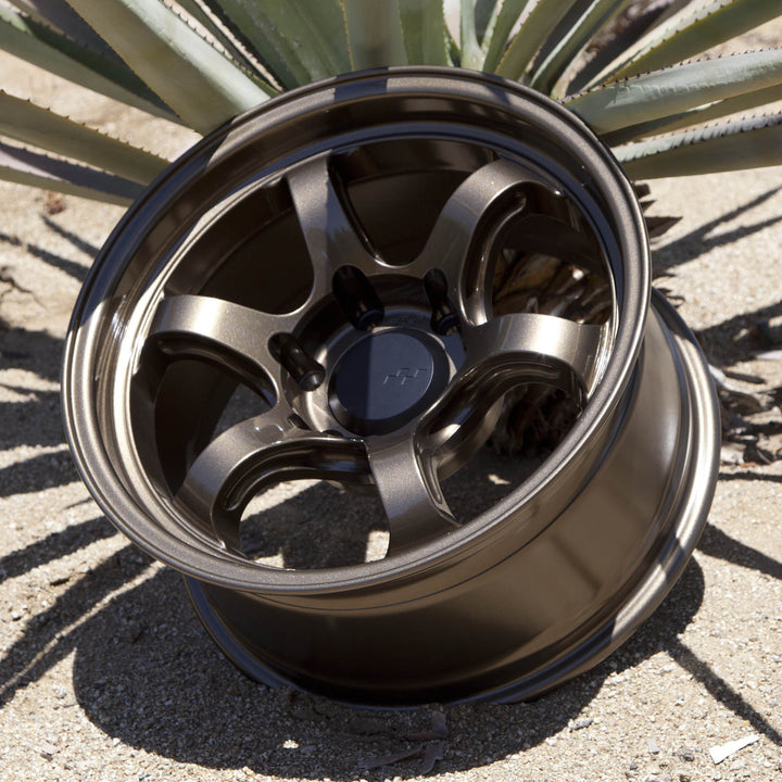 Circuit Windom Gloss Bronze
