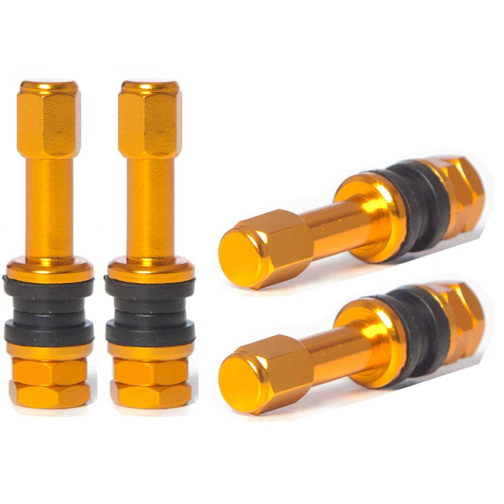 VS48 48mm Bolt-In Valve Stems (Set of 4)
