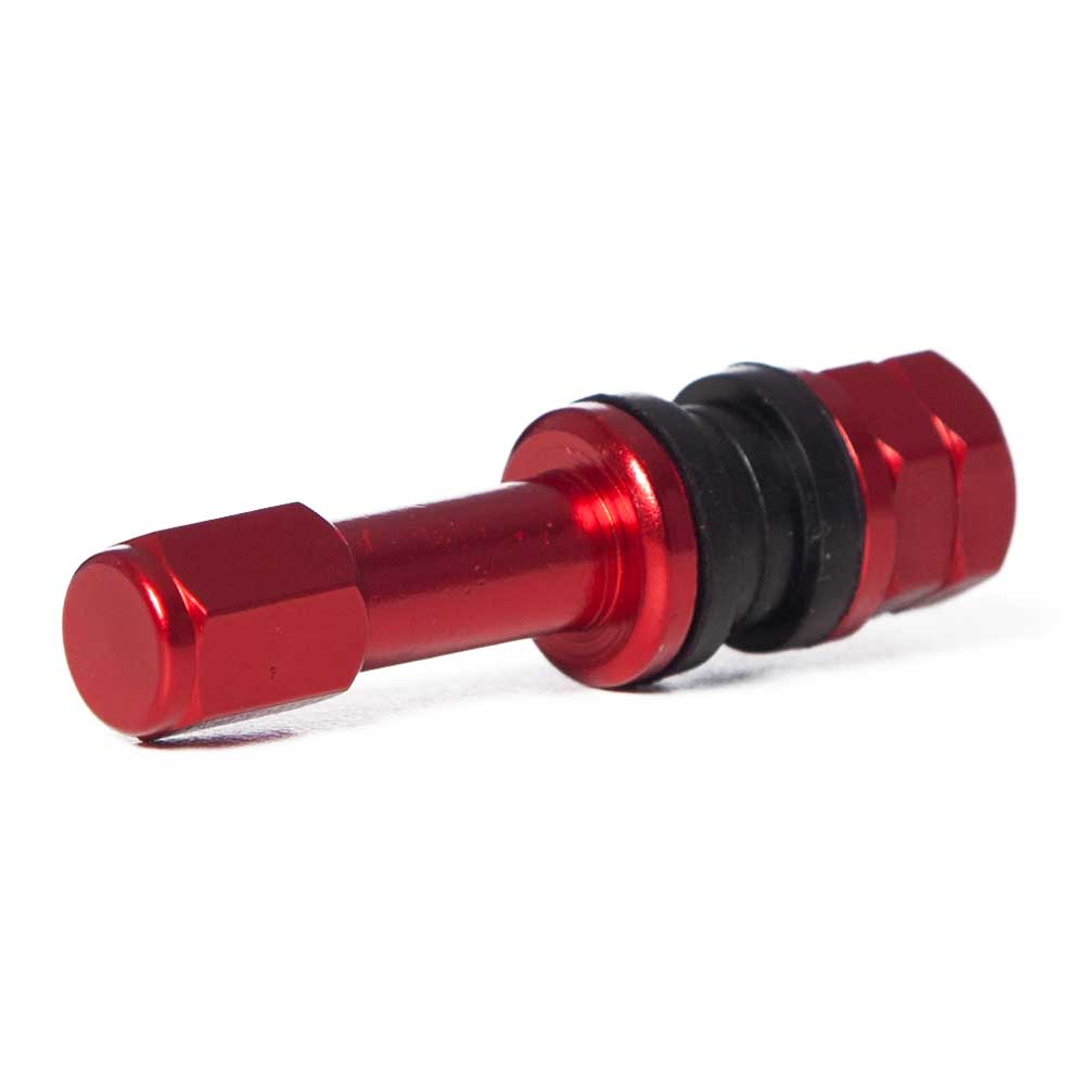 VS48 48mm Bolt-In Valve Stems (Set of 4)