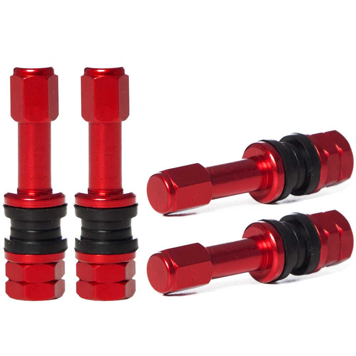 VS48 48mm Bolt-In Valve Stems (Set of 4)