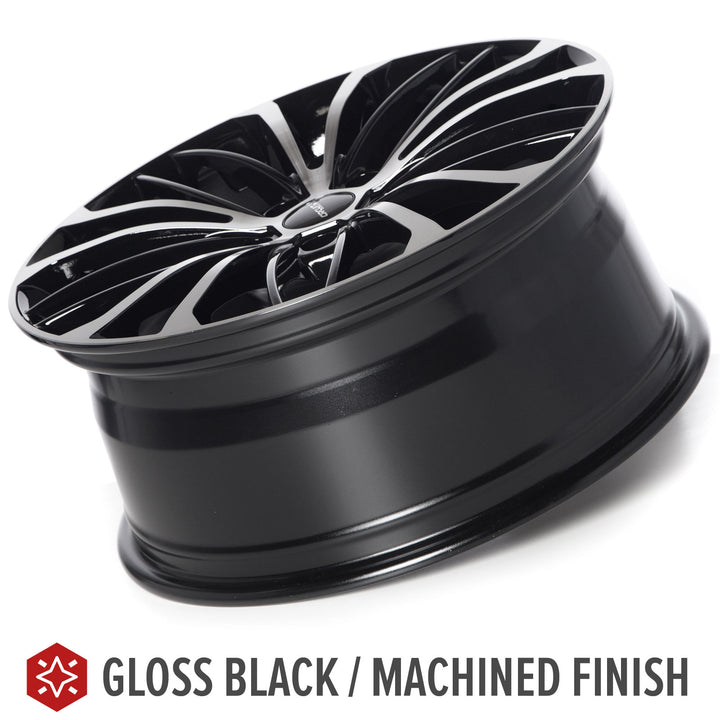 Circuit CP36 Gloss Black/Machined