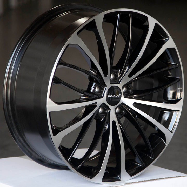 Circuit CP36 Gloss Black/Machined