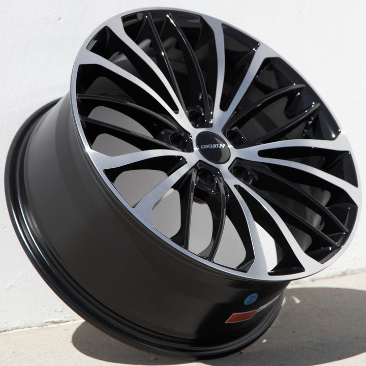 Circuit CP36 Gloss Black/Machined