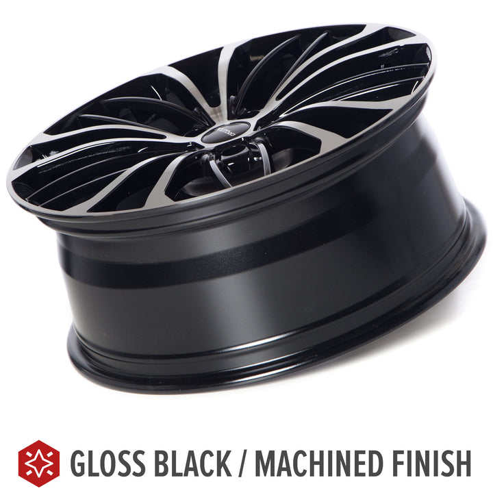 Circuit CP36 Gloss Black/Machined