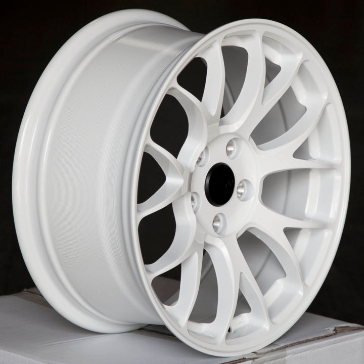 Circuit CSF2 Gloss White