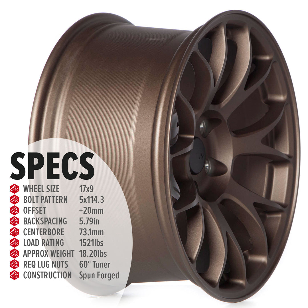 Circuit CSF2 Matte Bronze