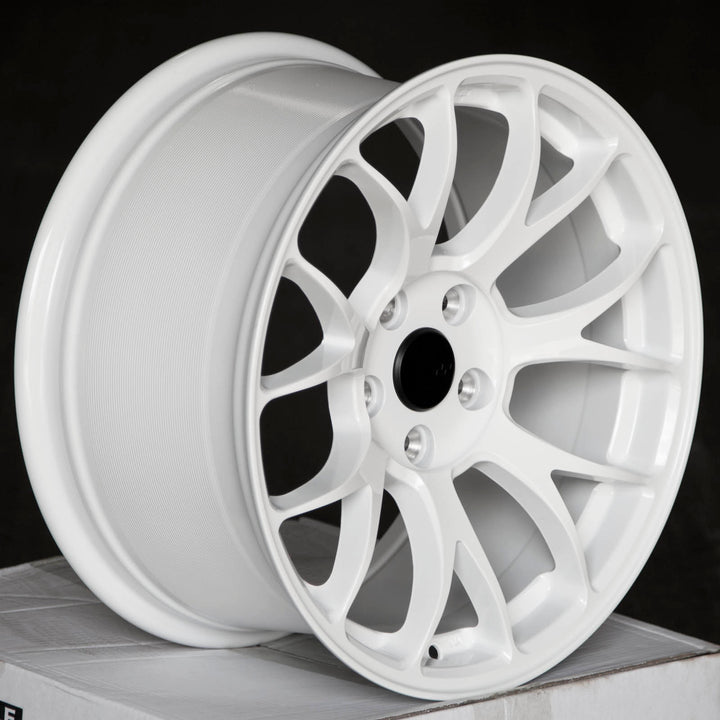 Circuit CSF2 Gloss White