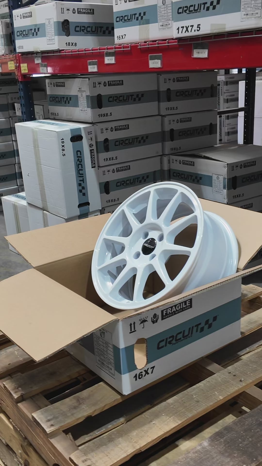 Circuit CP23 Gloss White